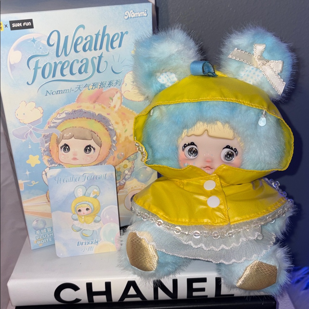 Weather Forecast Plush Doll Blind Box - CONFIRMED - drizzle 🌧️